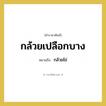 กล้วยไข่ คำราชาศัพท์คือ?, หมายถึง กล้วยเปลือกบาง หมวดหมู่ คำสุภาพ หมวด คำสุภาพ